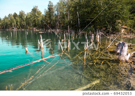 View of lake of deep, clear, blue, fresh water in river running through exotic forest. Blue pools. Broken trees View of lake of deep, clear, blue, fresh water in river running through exotic forest. Blue pools. Broken trees 69432053