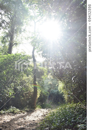 羊稠山步道森林景色 羊稠山步道森林景色 69432898