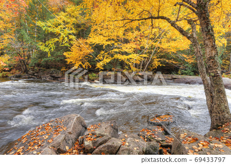 Red leaves and rapids at Algonquin Provincial Park, Canada 69433797