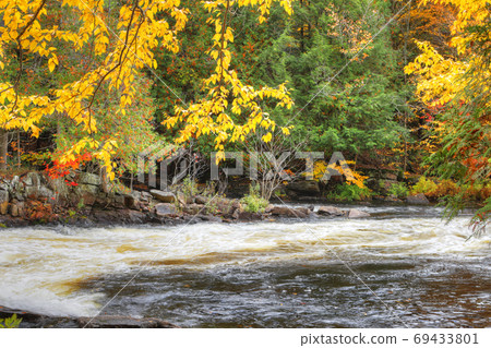 Colorful leaves and rapids at Algonquin Provincial Park, Canada 69433801