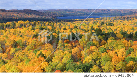 Overlook with brilliant autumn color at Algonquin Provincial Par 69433804