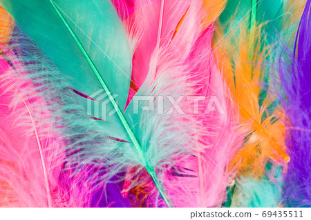 Colorful Feather 69435511