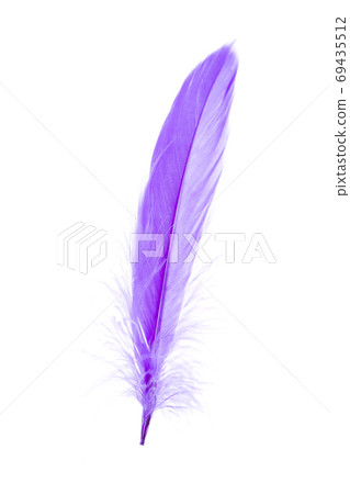 Blue Feather 69435512