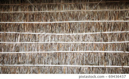 dry coconut leaf and bamboo wood texture of fence 69436437