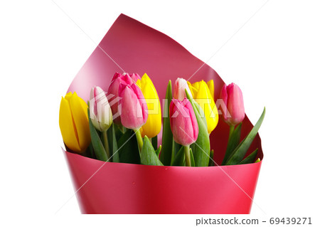 tulip flowers bouquet, close-up view, isolated on white tulip flowers bouquet, close-up view, isolated on white 69439271