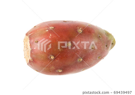 Cactus Fruit Cactus Fruit 69439497
