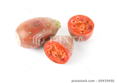 Cactus Fruit Cactus Fruit 69439498