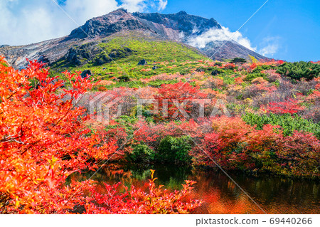 Nasutake and gourd pond of autumnal leaves 69440266