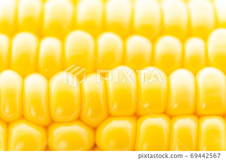 Raw corn 69442567