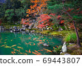 Autumn landscape 69443807