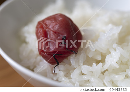 Umeboshi and freshly cooked rice Umeboshi and freshly cooked rice 69443883