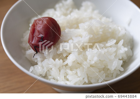 Freshly cooked new rice and pickled plums Freshly cooked new rice and pickled plums 69443884