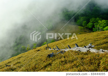 小田原之黎明(奈良縣吉野縣上北山村) 小田原之黎明(奈良縣吉野縣上北山村) 69444095