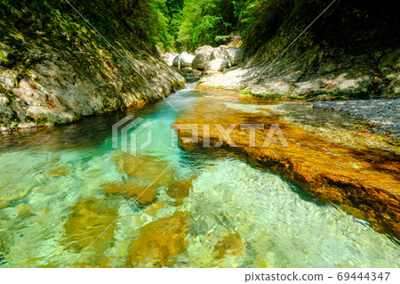 Summer of Maeonigawa (Shimokitayama Village, Yoshino County, Nara Prefecture) 69444347