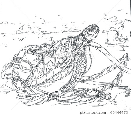 Sea turtle monotone line drawing illustration Sea turtle monotone line drawing illustration 69444473