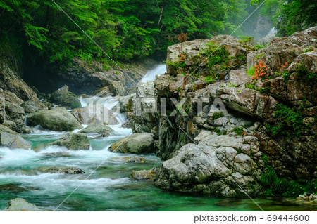 Onikawa in front of the rain (Shimokitayama Village, Yoshino-gun, Nara Prefecture) 69444600