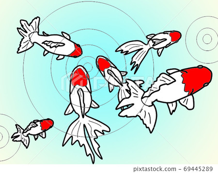 水族館系列：金魚 69445289