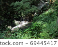 Hinohara Village, Tokyo Sightseeing Spot 69445417