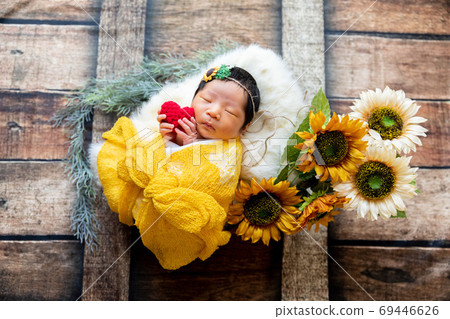 Newborn Photo Newborn Photo 69446626