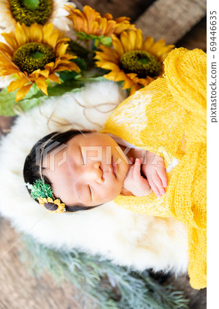 Newborn Photo Newborn Photo 69446635