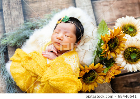 Newborn Photo Newborn Photo 69446641