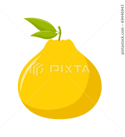 Ugli fruit with green leaves isolated on white background, flat design, fruit vector illustration 69446943