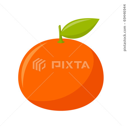 Tangerin with green leaves isolated on white background, flat design, fruit vector illustration 69446944