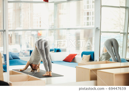 woman yoga exercices Adho Mukha Svanasana woman yoga exercices Adho Mukha Svanasana 69447639