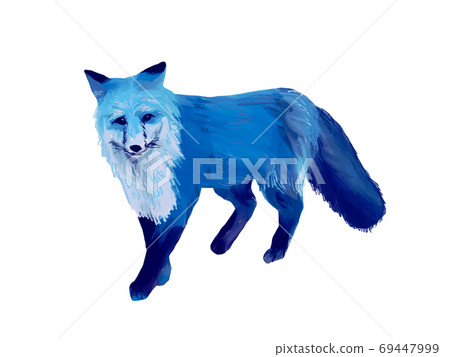 手繪狐狸圖 手繪狐狸圖 69447999