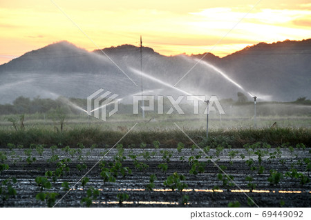 岡山縣岡岡開荒地的黃昏灌溉農場 69449092