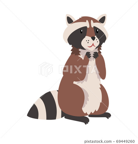 raccoon cartoon characters