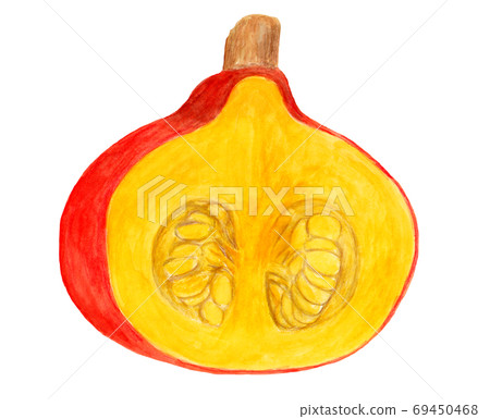 加賀蔬菜南瓜的斷面（水彩畫） 69450468