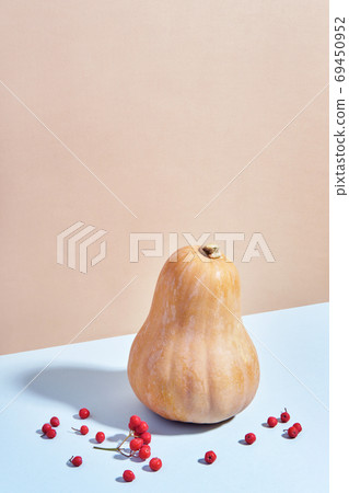 Autumn minimal composition of pumpkin and rowan berries in neutral tones. Isometric view 69450952
