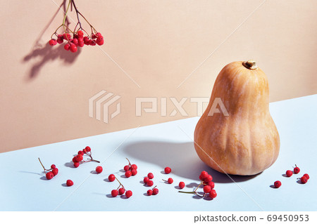 Autumn minimal composition of pumpkin and rowan berries in neutral tones. Isometric view Autumn minimal composition of pumpkin and rowan berries in neutral tones. Isometric view 69450953