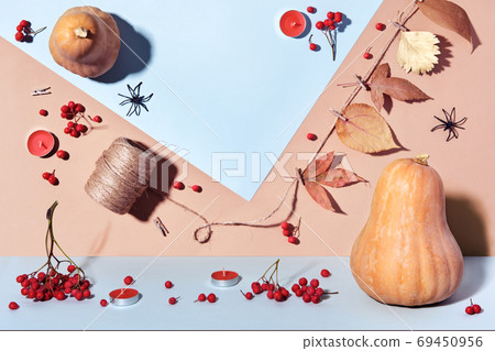 Autumn layout with pumpkins, diy garland and berries in pastel colors. Double composition of top view and front view 69450956