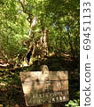 Yakushima Daio cedar and signboard 69451133
