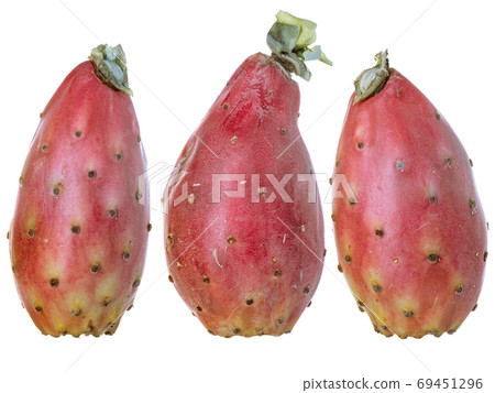 Various cactus fruit, isolated on a white background. 69451296