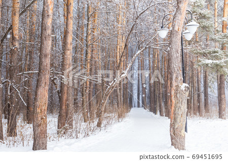 Season and nature concept - Winter park in snow Season and nature concept - Winter park in snow 69451695