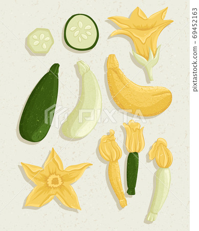 Vector zucchini cartoon illustration with... - Stock Illustration  [69452163] - PIXTA