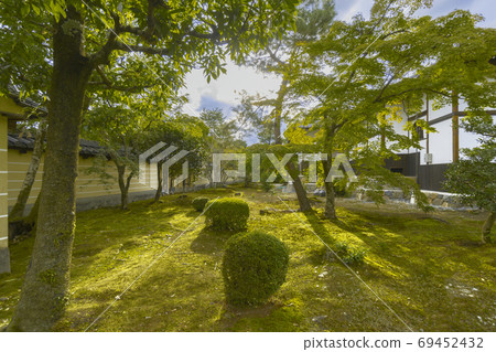 College hospital College hospital 69452432