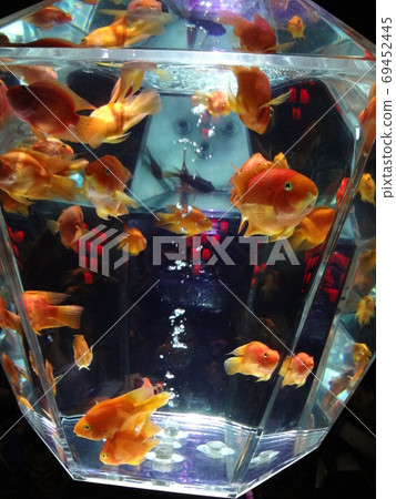 Aquarium in the near future Aquarium in the near future 69452445