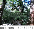 Yakushima Meoto Sugi and signboard 69452475