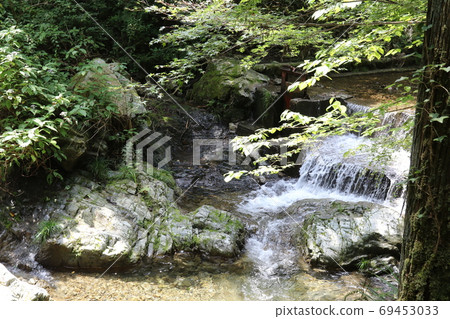 東京H原村觀光 69453033