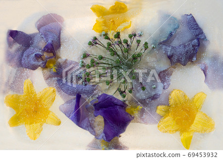Frozen   flower of  iris 69453932