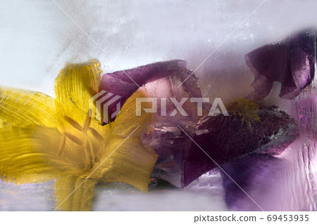 Frozen   flower of  iris 69453935