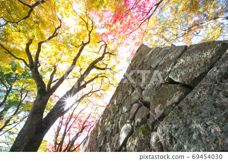 高聳的石牆,高聳的紅葉 高聳的石牆,高聳的紅葉 69454030