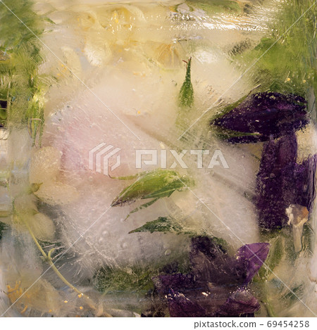Frozen flower of jessamine and campanula Frozen flower of jessamine and campanula 69454258
