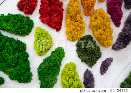 Vertical decoration moss Vertical decoration moss 69454585