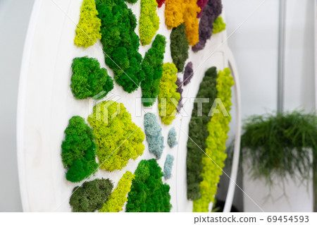 Vertical decoration moss 69454593