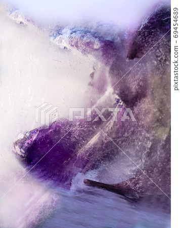 Frozen flower of iris Frozen flower of iris 69454689